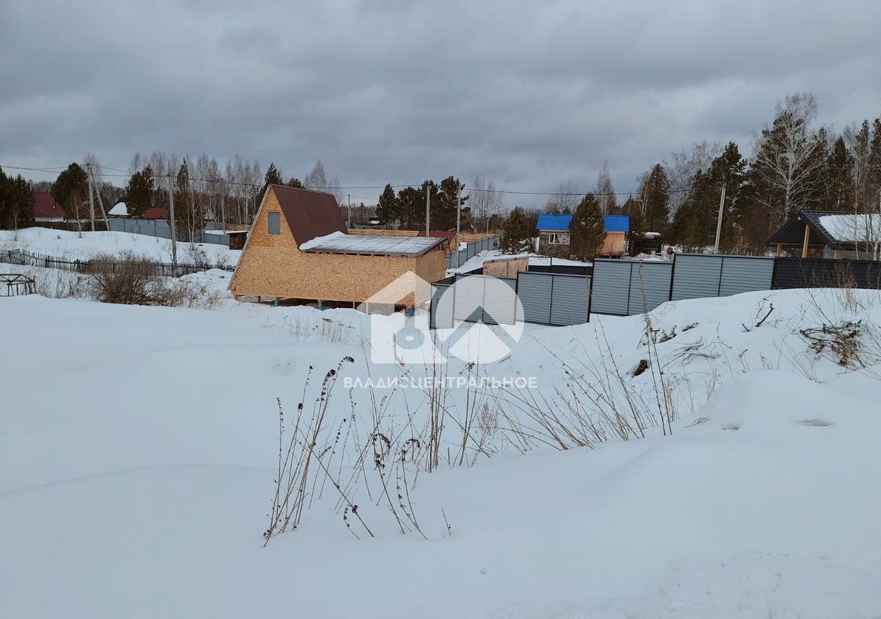 земля р-н Новосибирский снт Мечта Краснояровское шоссе, 17 км, Станционный сельсовет, Луговая ул, Новосибирск фото 2