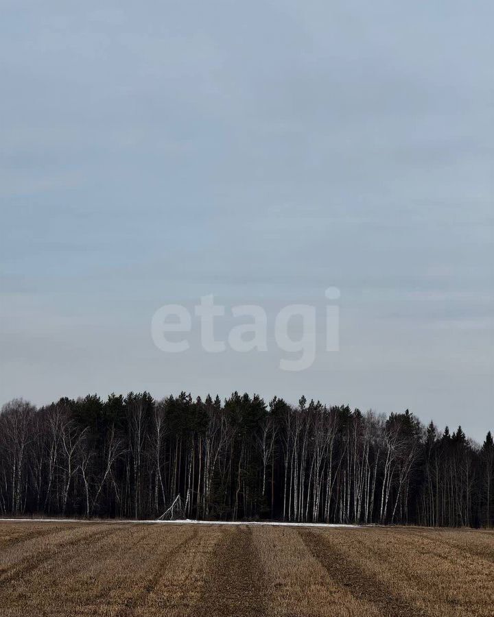 земля р-н Богородский с Убежицы Богородск фото 3