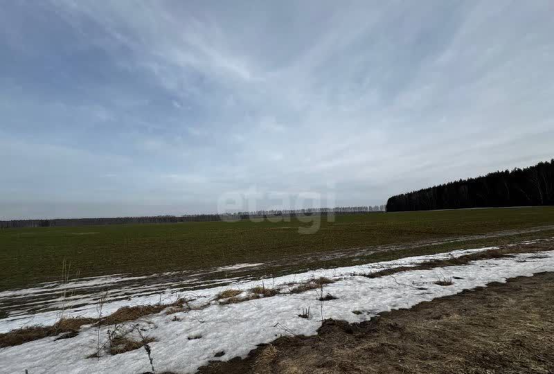 земля р-н Богородский с Убежицы Богородск фото 4