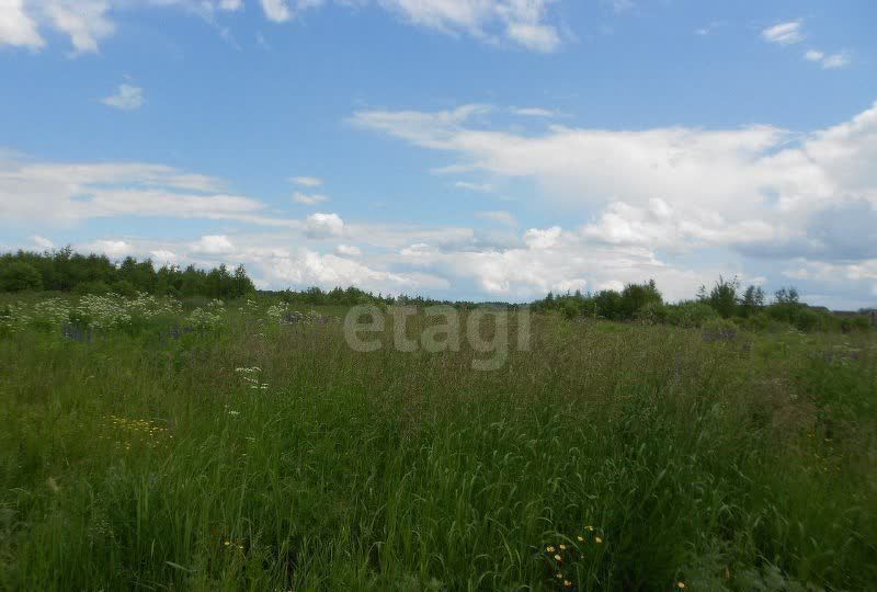 земля р-н Богородский с Афанасьево Богородск фото 3