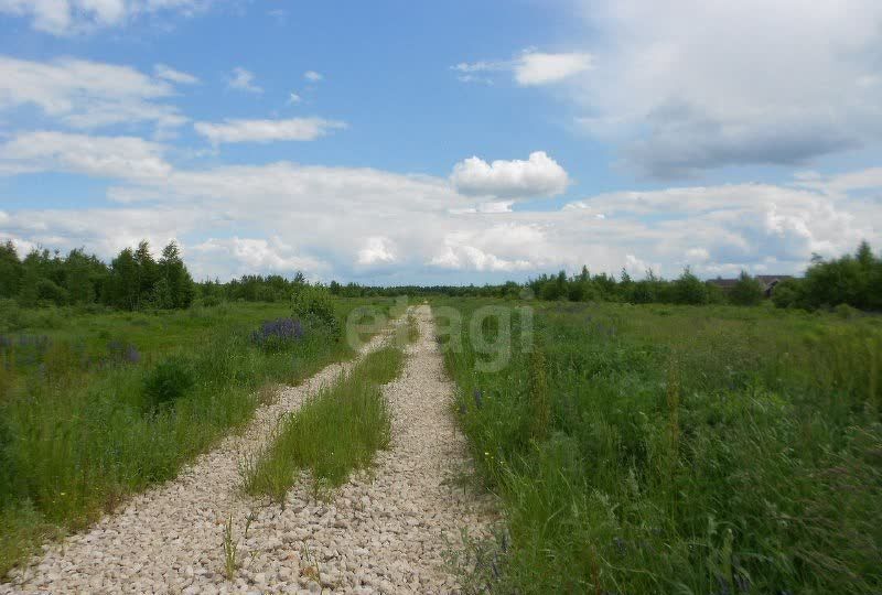 земля р-н Богородский с Афанасьево Богородск фото 2