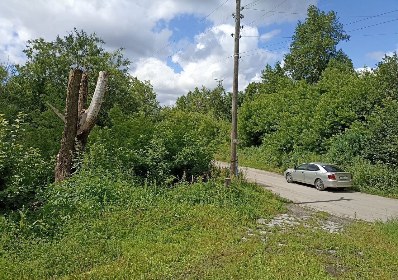 дом р-н Новосибирский с Новолуговое ул Рублевского 4 Новолуговской сельсовет фото 4