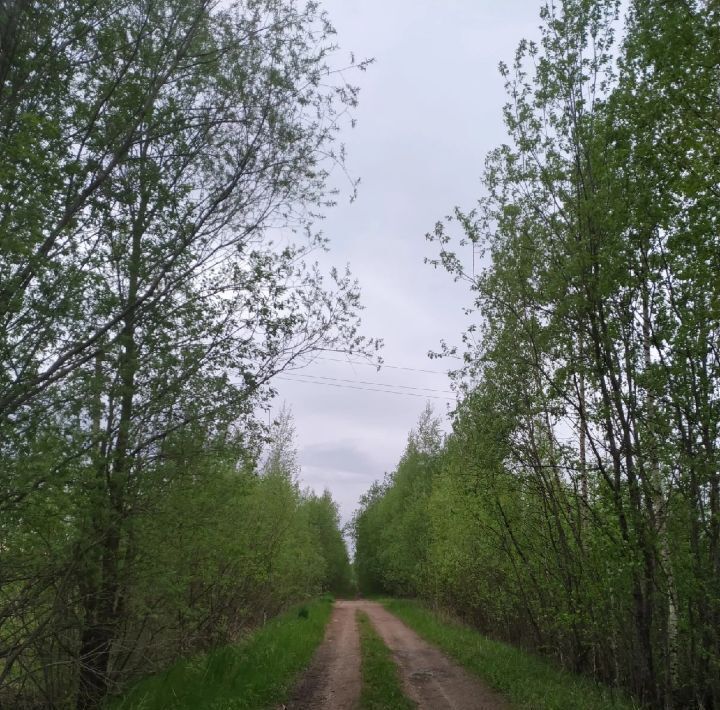 дом р-н Новгородский д Богданово Борковское с пос фото 19