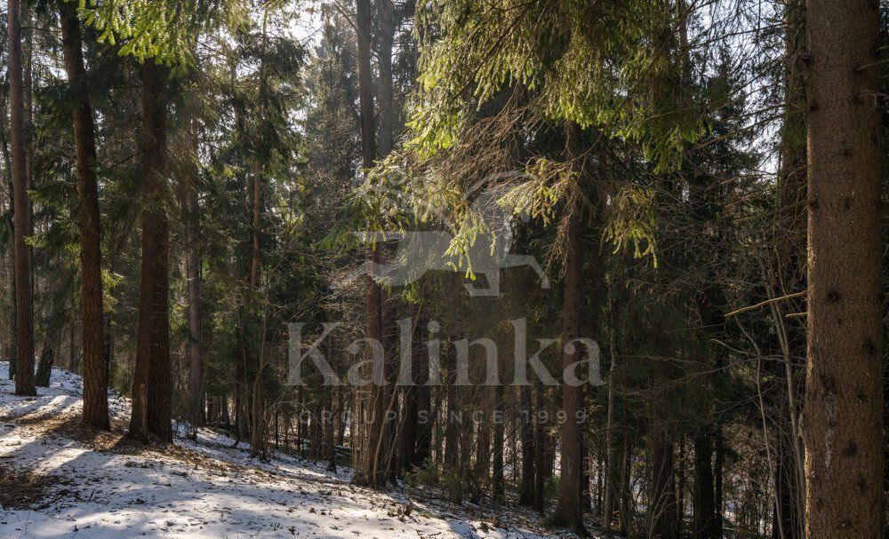 земля городской округ Красногорск д Воронки снт Урожай 8 км, Красногорск, Волоколамское шоссе фото 2