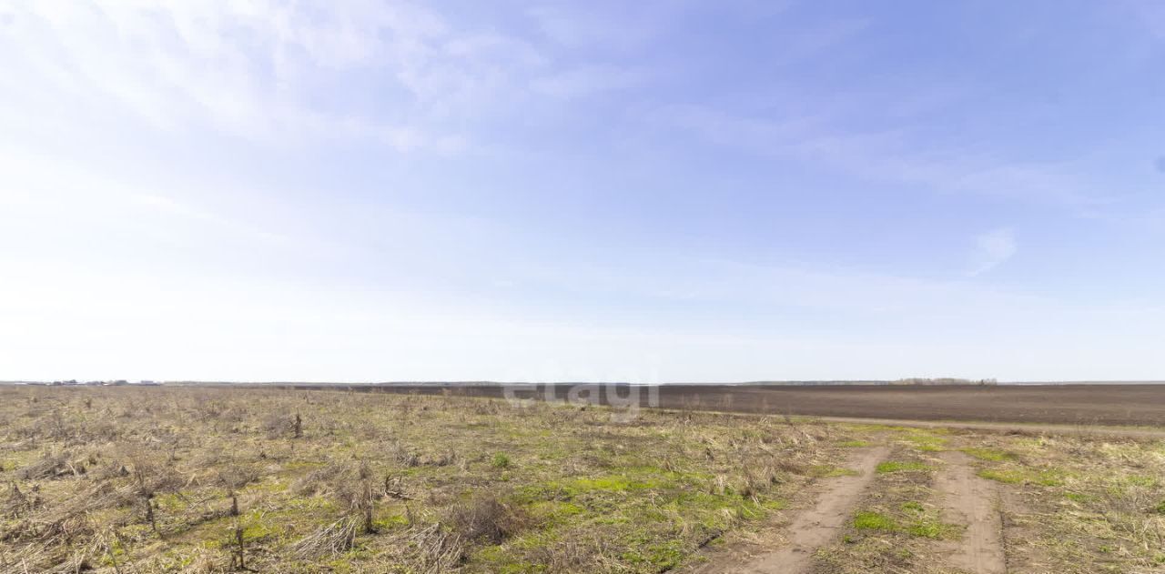 земля р-н Тюменский д Малиновка Вольные угодья кп фото 8