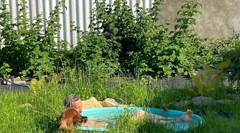 дом г Саратов р-н Заводской снт Строитель-63 проезд 7-й Загородный фото 20