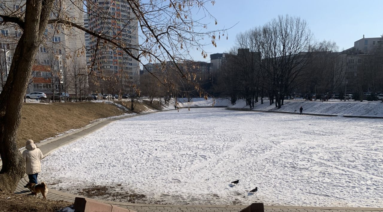 квартира г Москва метро Проспект Вернадского пр-кт Вернадского 41с/1 фото 30