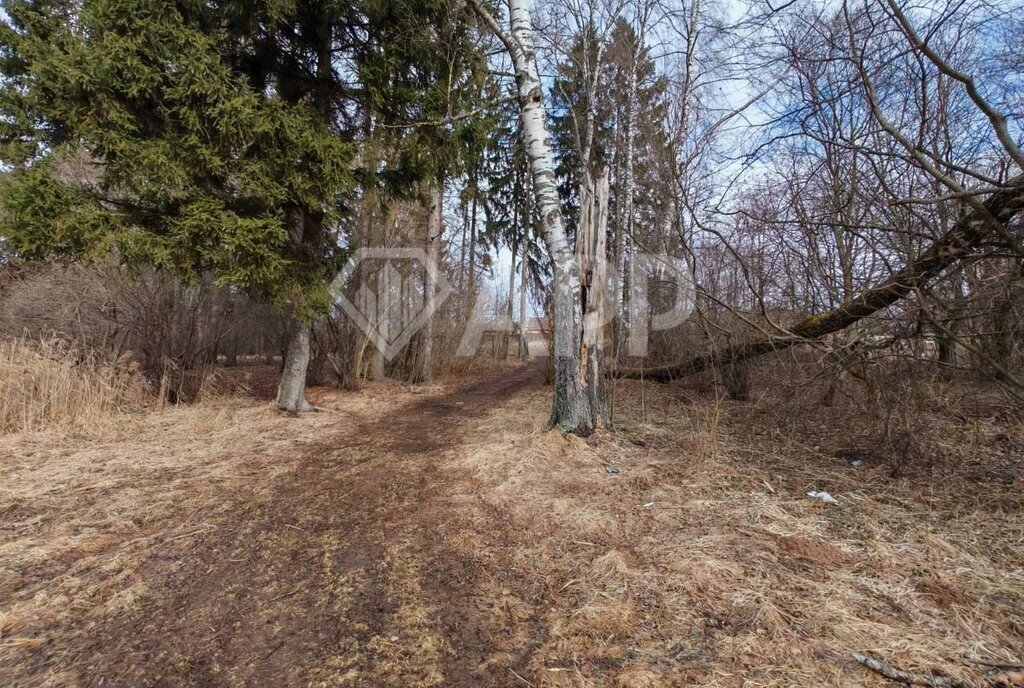 офис городской округ Солнечногорск г Солнечногорск-30 Центральная улица фото 6