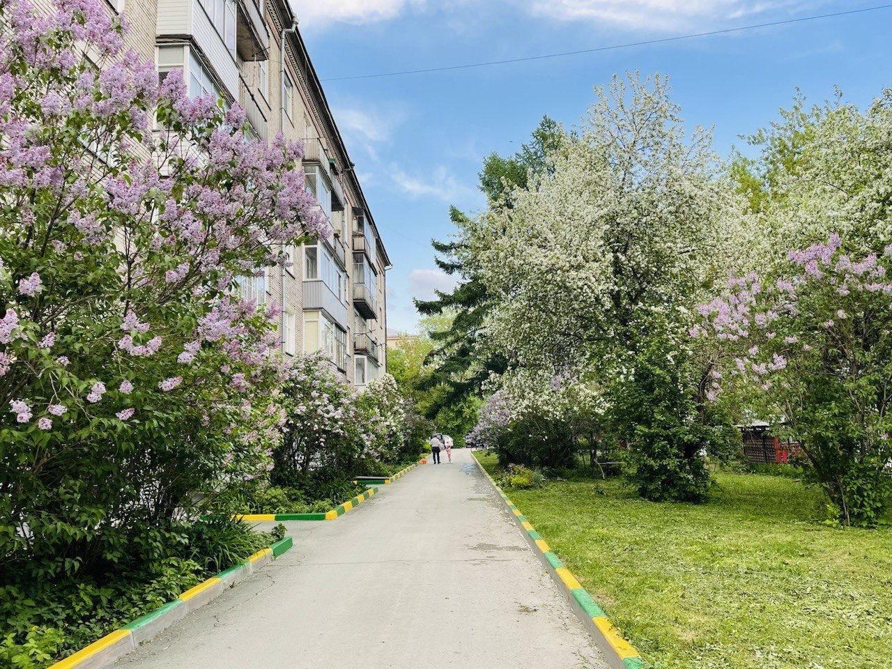 квартира г Новосибирск р-н Центральный ул Мичурина 21а фото 7