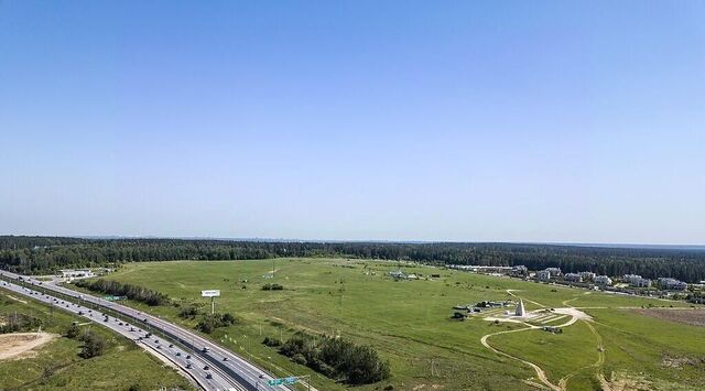 городской округ Истра д Чесноково фото