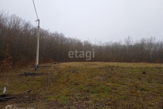 Развилка городской округ Горячий Ключ, Ровная фото