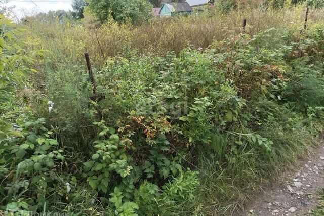 земля Омск городской округ, СТ Изыскатель фото