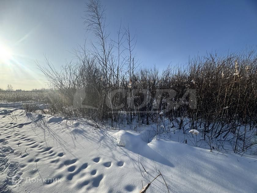 земля г Тюмень Тюмень городской округ, Центральный фото 4