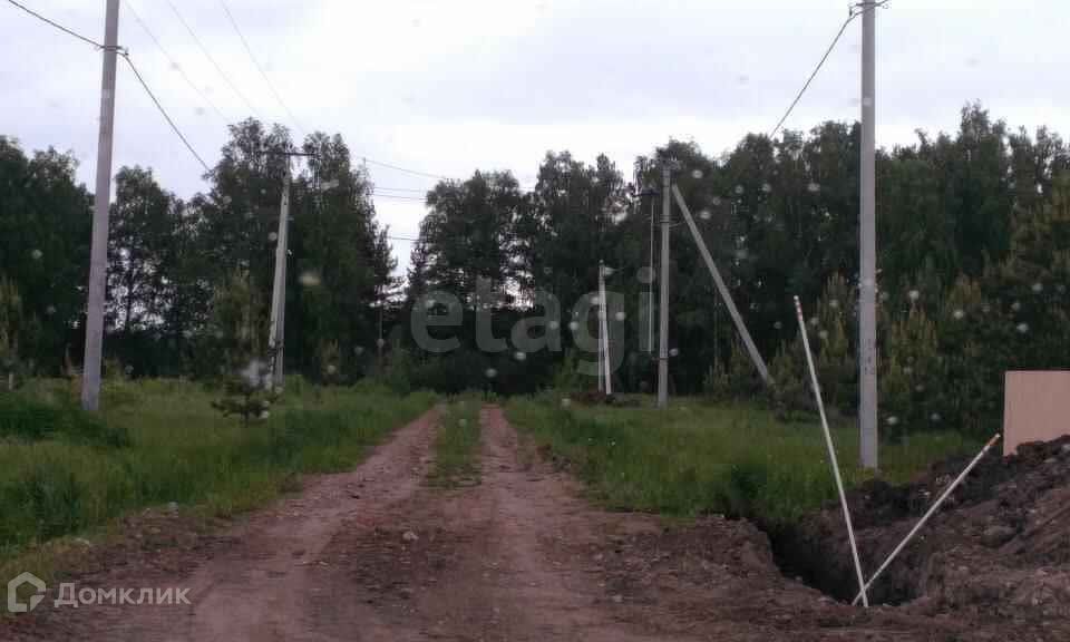 земля р-н Тюменский с Перевалово ул Васильковая фото 3