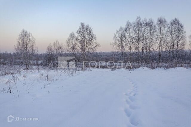 земля Кемеровская область — Кузбасс, СНТ Прибрежное фото