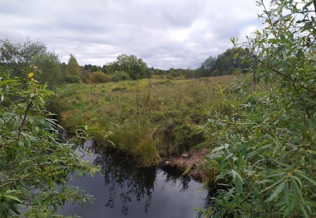 земля р-н Дновский г Дно 49К-0413, Новгородская обл. фото 1
