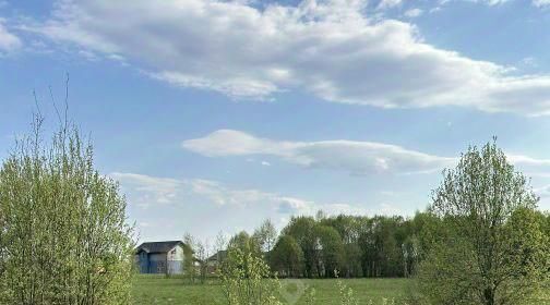 земля г Пушкино Заветы Ильича ул. Пушкина, 24 фото 10