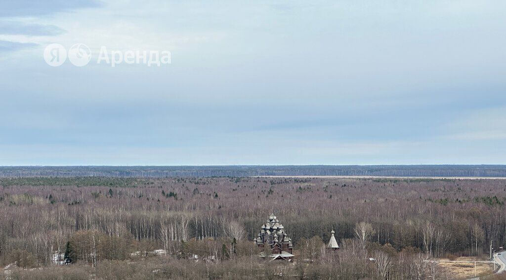 квартира г Санкт-Петербург метро Рыбацкое Усть-Славянка пр-кт Советский 36к/2 фото 9