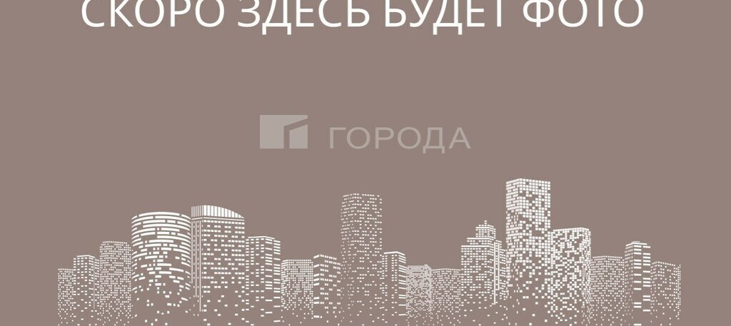 земля г Новосибирск р-н Ленинский снт Золотая осень Площадь Маркса фото 6