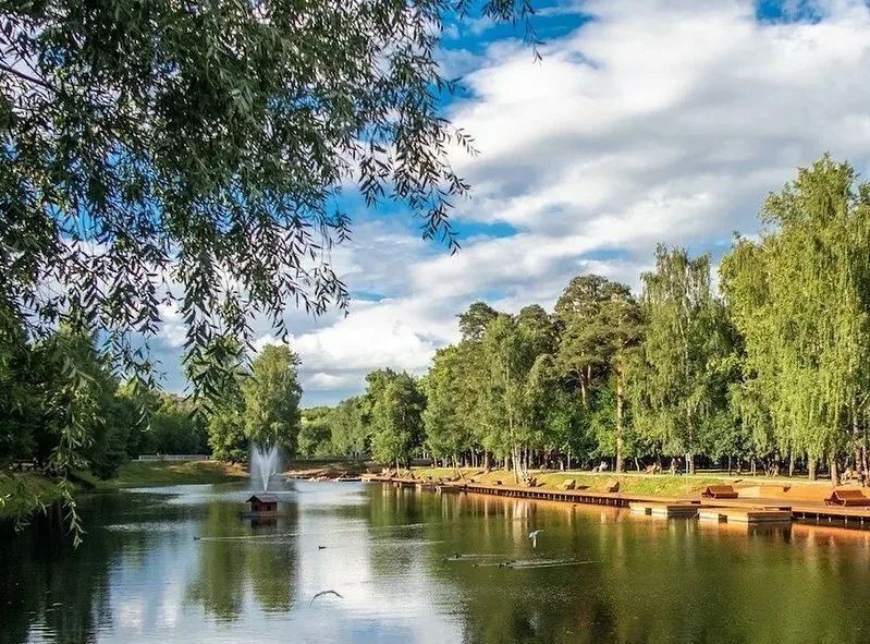 квартира г Красногорск Райцентр ул Комсомольская 45 Красногорская фото 11