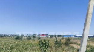 земля г Новочеркасск ул Гагарина № 16 садовое товарищество фото 2
