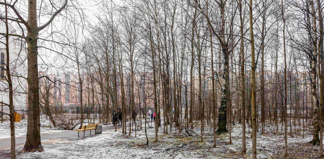 квартира г Кудрово Южное Кудрово пр-кт Европейский 21/1 ЖК «Березовая роща» Заневское городское поселение фото 12