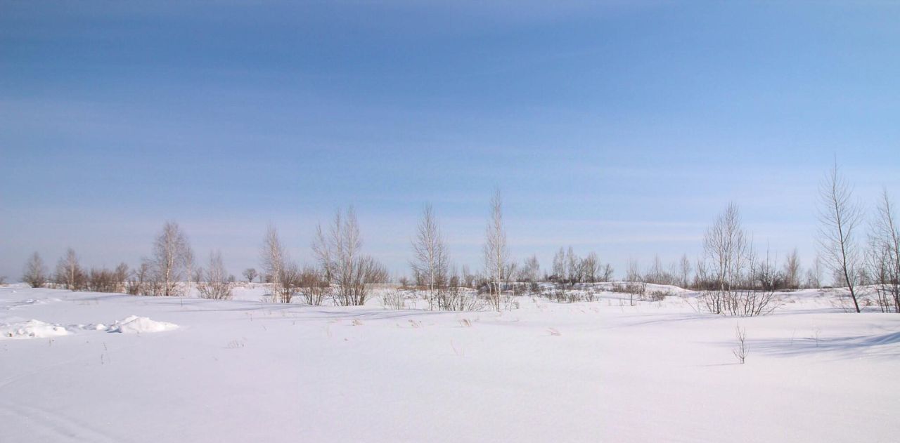 земля г Барнаул п Бельмесево ул Журавлиная фото 20