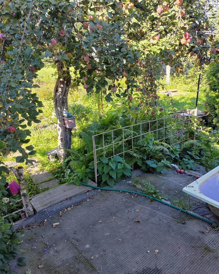 дом г Санкт-Петербург п Петро-Славянка р-н Колпинский ул Центральная Московское шоссе, 6 км, садоводство Дружба фото 18
