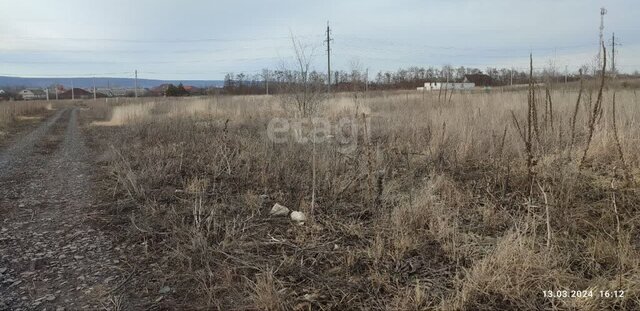 ул Виноградная фото