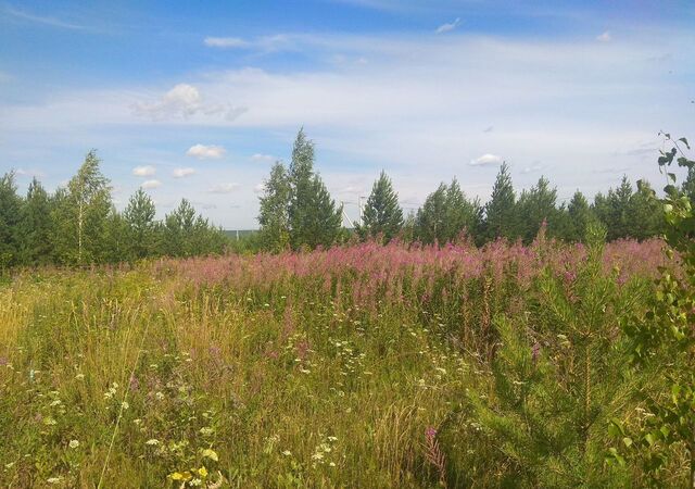 п Бобровский ул Пастернака фото