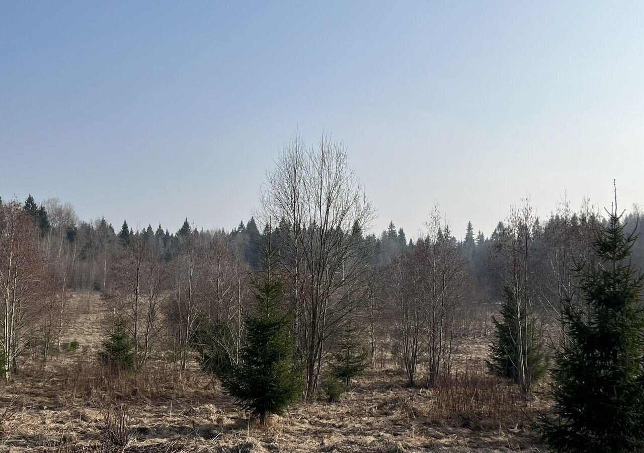 земля городской округ Сергиево-Посадский г Хотьково 45 км, д. Кудрино, Ярославское шоссе фото 2