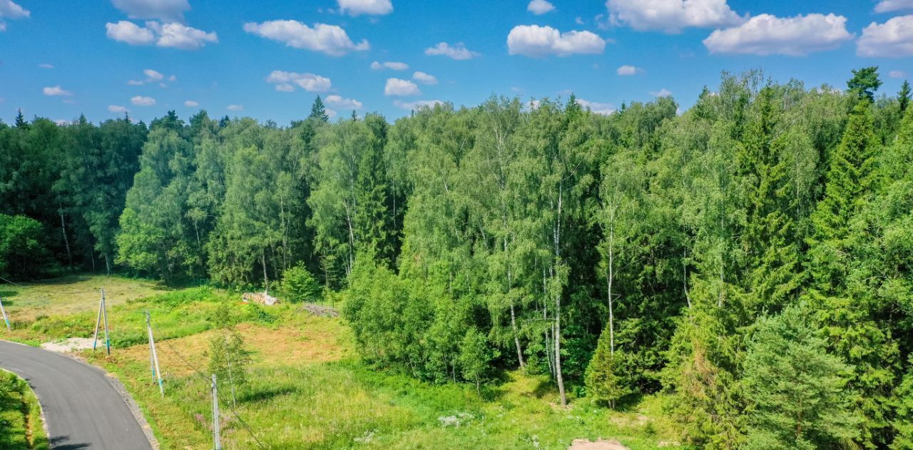 земля г Домодедово д Ивановка Лесной остров кп, 100 фото 9