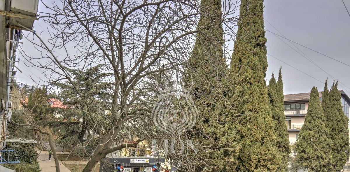 квартира г Алушта ул Ялтинская 1 фото 31