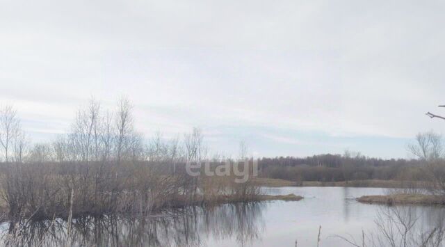 земля д Кузнечиха Глебовский сельский округ фото