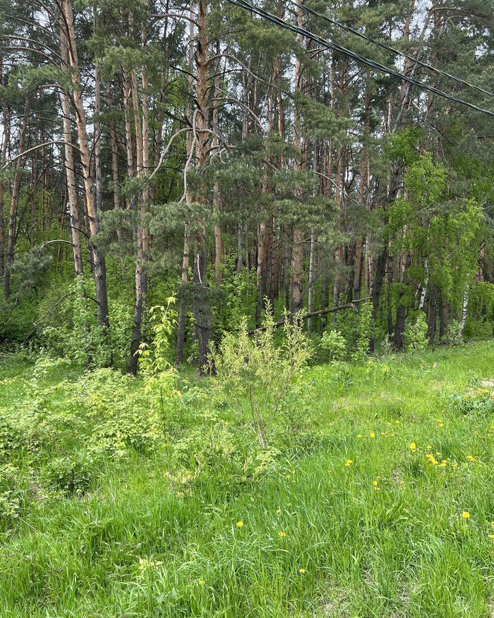 земля городской округ Одинцовский г Звенигород 33 км, Ильинское шоссе фото 4