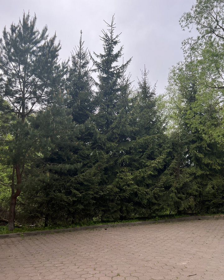 земля городской округ Одинцовский г Звенигород 36 км, коттеджный пос. Каретный ряд, Новорижское шоссе фото 3