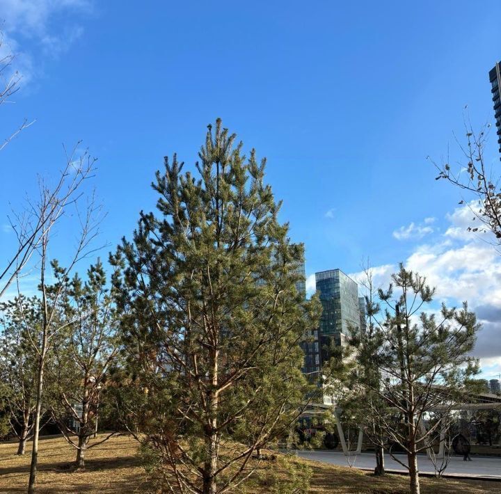 квартира г Москва метро Шелепиха наб Шелепихинская 3зд/7 34к фото 17