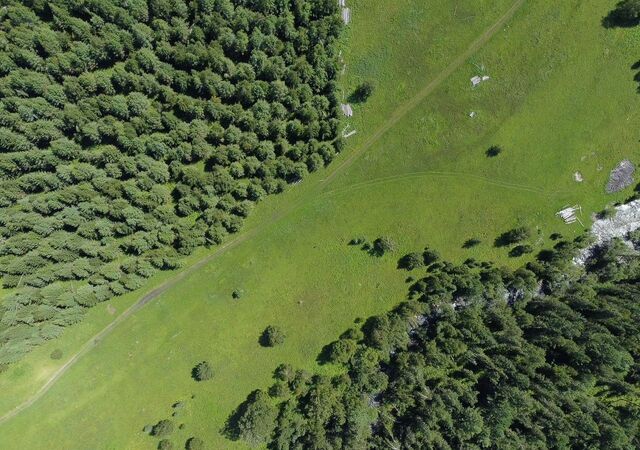 с Усть-Кокса Верх-Уймонское сельское поселение фото