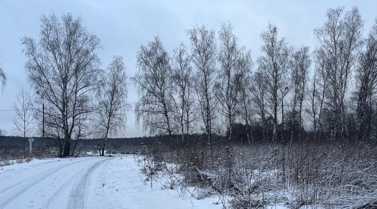 земля г Домодедово д Тургенево Подольск фото 2