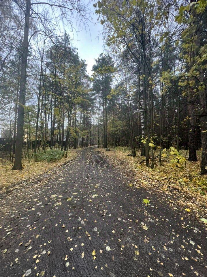 земля г Санкт-Петербург ул Центральная Ленинградская область фото 6