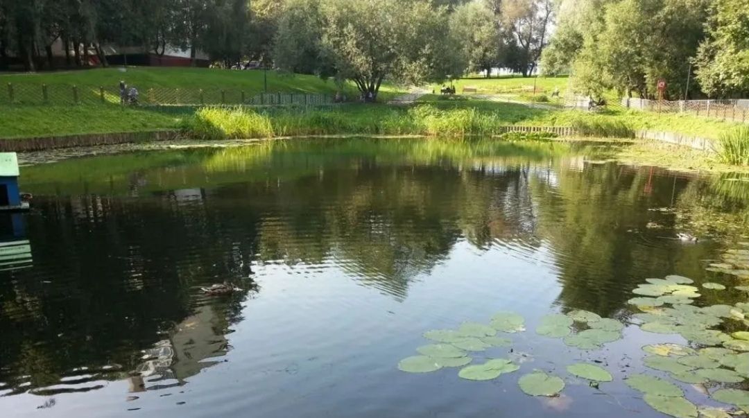 квартира г Москва метро Беляево ул Генерала Антонова 10 фото 11