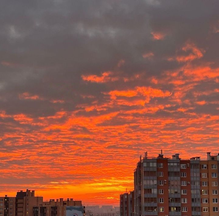 квартира р-н Всеволожский г Кудрово Ломоносовская, Заневское городское поселение, аллея Каштановая фото 10