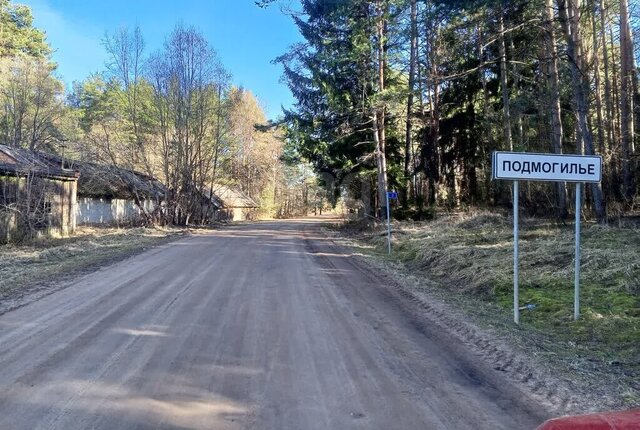 р-н Островский д Подмогилье ул Шишинская фото