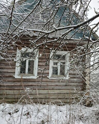 г Чудово Трегубовское сельское поселение фото