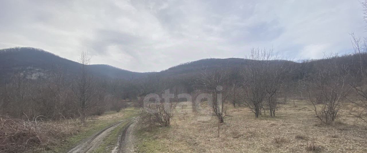 земля г Феодосия с Краснокаменка ул Ленина фото 3