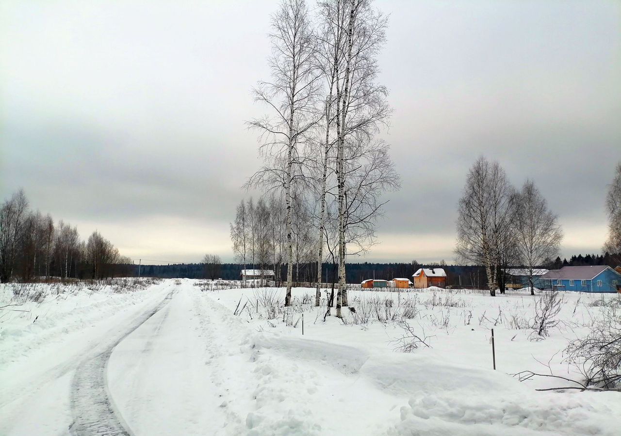 земля городской округ Сергиево-Посадский г Краснозаводск 71 км, территория Шубино-Яркое, Путеводная ул, Ярославское шоссе фото 1