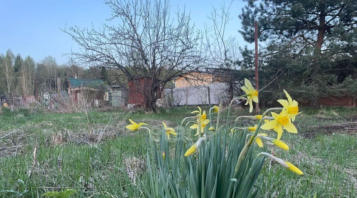 дом городской округ Талдомский г Талдом снт Гудок фото 3
