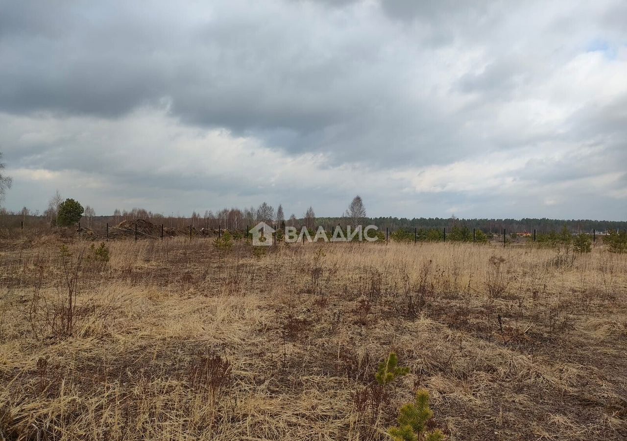 земля городской округ Богородский г Ногинск ул Ново-Богородская 37 км, Горьковское шоссе фото 2