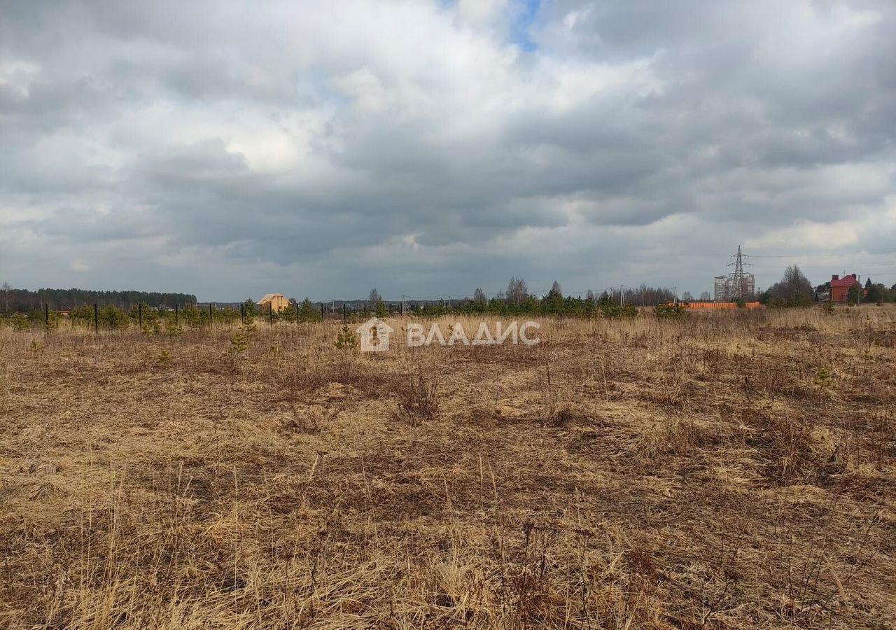 земля городской округ Богородский г Ногинск ул Ново-Богородская 37 км, Горьковское шоссе фото 4