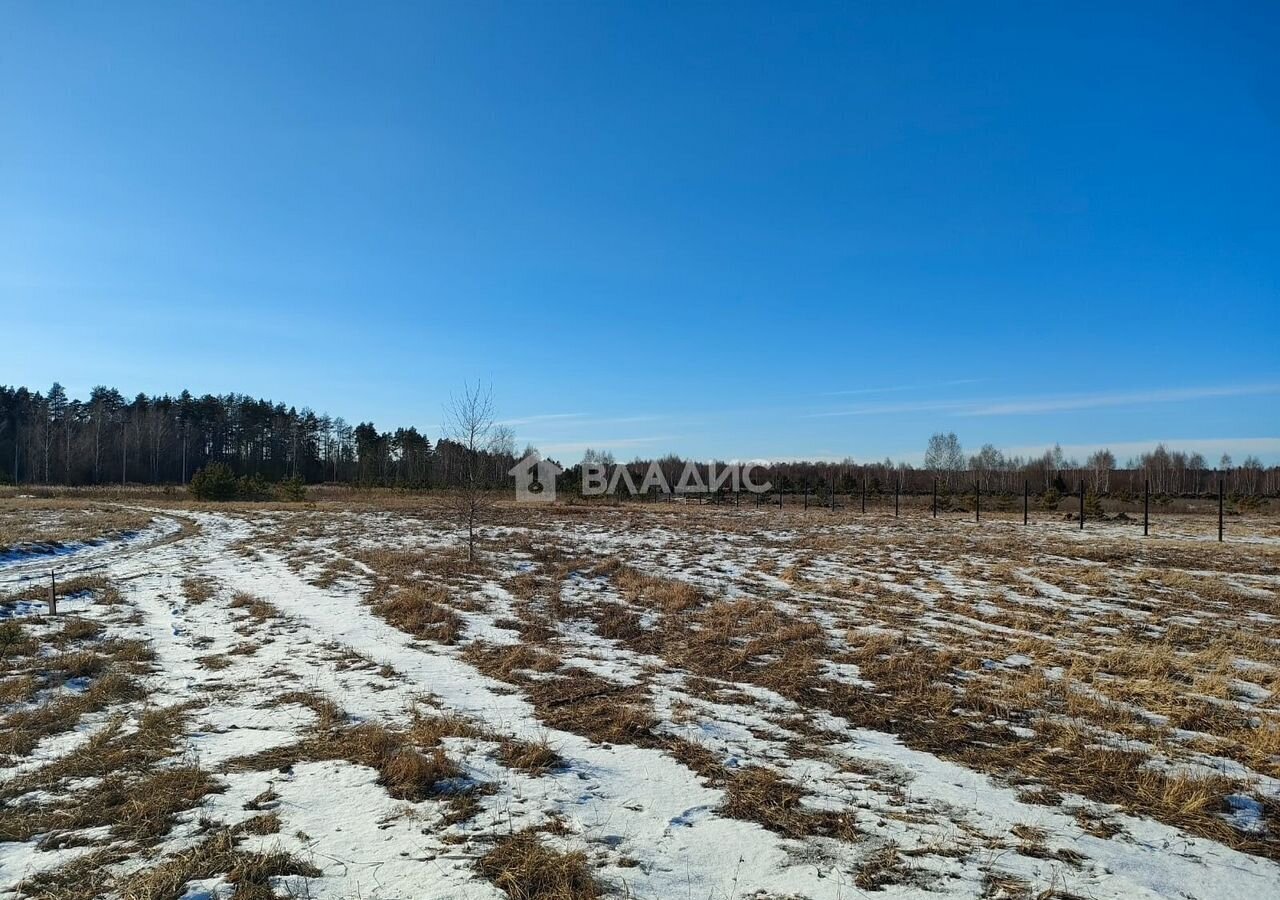 земля городской округ Богородский г Ногинск ул Богородская 14 37 км, Горьковское шоссе фото 4